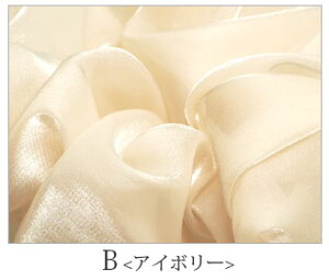 y550~܃`PbgΏہz{[ VV jAXJ[ BLAZE wAANZT[ wAANZ ܂Ƃߔ   킢  lۂ l 傫  fB[X J