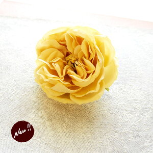   Nbv t[  O  [Y ANZT[ wAANZT[ wANbv a l  l 傫 傫 lۂ ȒP wAAW   ܎O