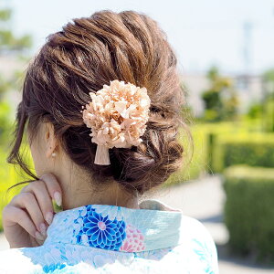   t[ Nbv  | ^bZ z vU[uht[ hCt[wANbv wAANZT[ wAANZ  l Y ݃J[  Cx