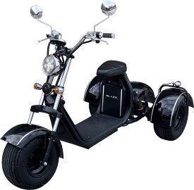 ブレイズ　EVトライク (諸費用込み)　※別途配送費用