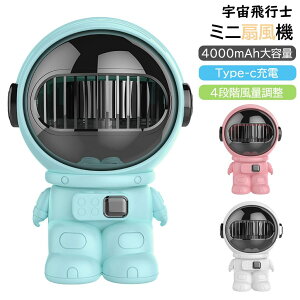 ~j@ t@ USB[d ^ Fsm  É ᑛ  @ 莝 gѐ@ px 4iK 4000mAh ȃGl y |[^u ăObY