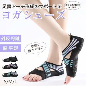 KV[Y seBXV[Y fB[X _XV[Y tBbglX É y z ʋC h Ռz NbV _炩 K V[Y ^ W O Ε K