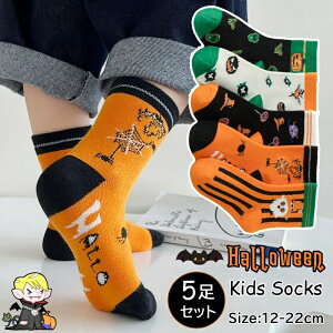 LbY \bNX q C 5Zbg nEB N[\bNX V[g\bNX xr[C LbYC LbY\bNX j̎q ̎q xr[ ۈ牀 ct w j  킢 