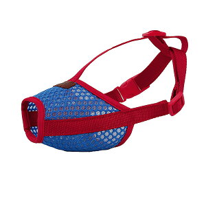 y}\SALEzMY BAG ybg p ^ ^ ^ }Y  i  EHh~ o| AEghA 5TCY