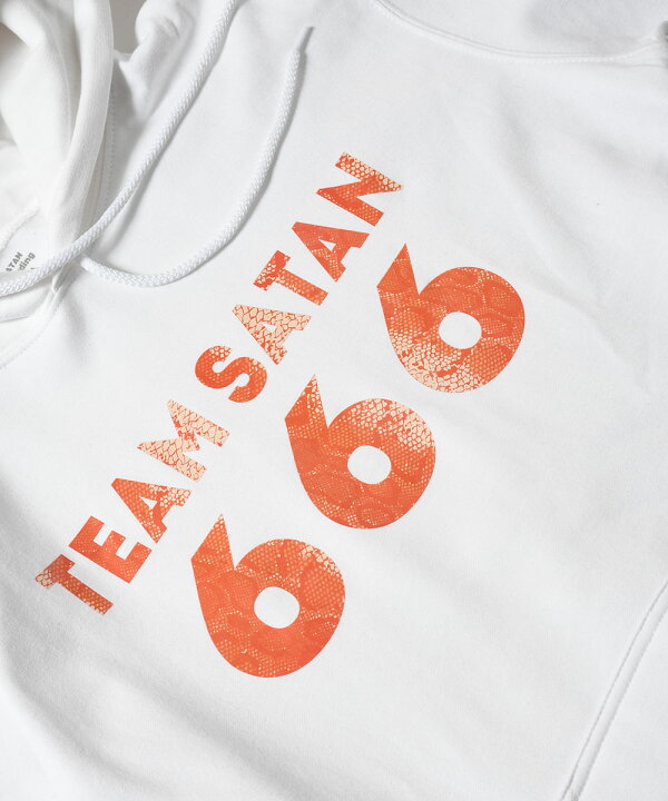 楽天市場】TEAM SATAN SKATEBOARDING チームサタン スケート 