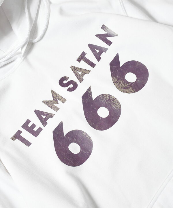 楽天市場】TEAM SATAN SKATEBOARDING チームサタン スケート  