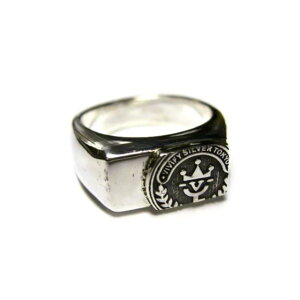 �yVIVIFY ���K�X�zVIVIFY �r�r�t�@�C �����O �w�� �V���o�[ Cut Coin Ring2