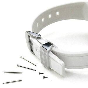 CASIO G-MS �����o���h MSG-W100-7AJF MSG-W100-7AJF ��p�x���g �E���^�������o���h �z���C�g ��t�p�l�W���Z �⋭�p�C�v�t CASIO(10650772_29-10484055/2-10382758/2-10484819/2) [�l�R�|�X�z��]