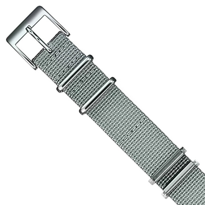 楽天市場】カシオ純正交換バンド CASIO A1000DN-7専用 クロスバンド 