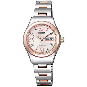 �V�`�Y���R���N�V���� ���f�B�[�X �r���v PD7166-54W �V�i������ 55