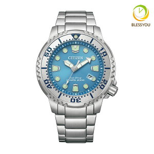 �V�`�Y�� �v���}�X�^�[ �����Y �r���v BN0166-55L 45