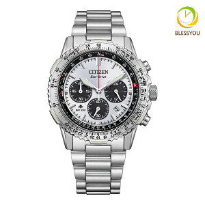 CITIZEN PROMASTER V`Y GRhCudg rv Y v}X^[ CA4660-61A 85.0 2025N3