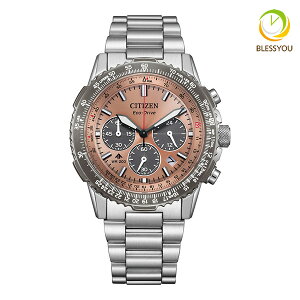 CITIZEN PROMASTER V`Y GRhCudg rv Y v}X^[ CA4664-60X 88.0 2025N3