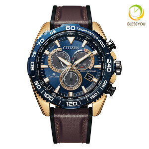 CITIZEN PROMASTER V`Y GRhCudg rv Y v}X^[ CB5039-11L 70
