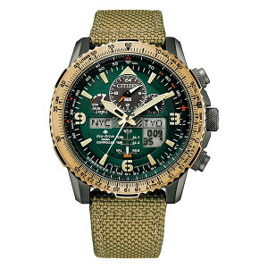 CITIZEN PROMASTER V`Y GRhCu dg rv Y v}X^[JY8074-11X 90 O[ _CA