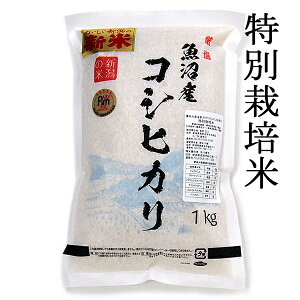 白米 1kgの人気商品 通販 価格比較 価格 Com