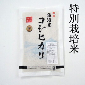 ＼ブレスユー クーポン！／ 【お試し】送料無料 魚沼産コシヒカリ 特別栽培米 令和5年 450グラム （約3合） レディース グルメ食品 産直 令和5年 魚沼産 新潟県 こしひかり ギフト ポイント消化　【新潟米】令和5年 新潟 ギフト 花以外