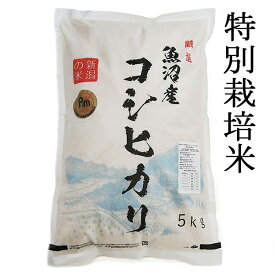 令和5年 魚沼産 魚沼産コシヒカリ 5kg 新潟 魚沼産 コシヒカリ 特別栽培米 塩沢地区 5キロ ギフト