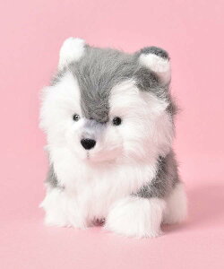 ʂ   dog ̓ rVt[[ |jA nXL[ v[h ObY l` }XRbg LN^[  ӂӂ  Mtg v`Mtg v[g NX}X