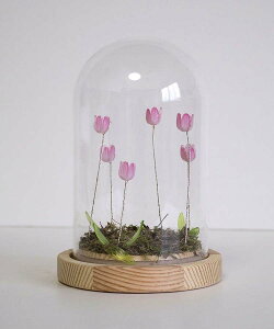 Cg LED ԐڏƖ t[  A  CeA u   킢  ObY iCgCg dr Mtg v[g sN IW p[v ~bNX LUMO`[