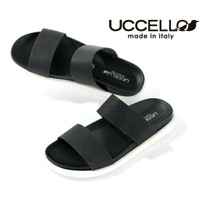  Z[ T_ Y U[T_ JWA  UCCELLO Eb`F C^A XgbvT_ ubN  TtBA[m ߃JEU[ Gf 傫TC