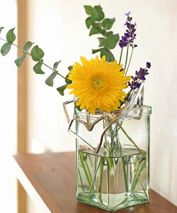 yLINEN[|LzmETN \/NOUSAKU  KAGO XNGA S  JS Ȃ 501402EKAGO-SQUARE-S-4702301(fB[X)(1F-W)