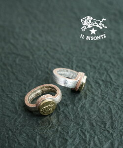 yN[|ΏۊOzCr]e Ki IL BISONTE O ^bNU[ R`t U[ U[O v`i Vo[ ؃ACe E54192304697-0062501([։\i)[M 1/5]