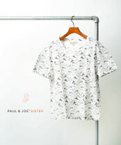 楽天市場】paul&joe sister tシャツの通販