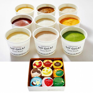 yEzyzGebN@SOY@GeLAI@I[KjbNACX 100mlx9yⓀz[J[̒iysEszyzԎwszn