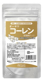 【送料無料(メール便)】オーサワコーレン(節蓮根入り) 50g　オーサワジャパン