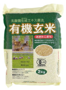 yz_ېGLX_@ L@(܂)@I[TWp@2kg×2