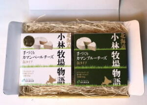 VDyƁ@іqꕨ@i``[YEMtg@2Zbgy①z