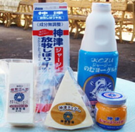 神津牧場　アラカルト ミニセット（5個）【ジャージ牛乳、飲むヨーグルト、発酵瓶バター、チェダ―、ゴーダチーズ】