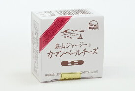 蒜山（ひるぜん）酪農　蒜山ジャージーカマンベールチーズ　ミニ　紙箱入り60g