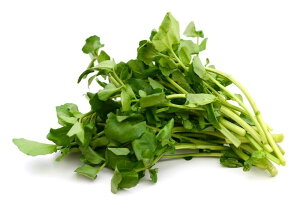 ys꒼szȖ،ق@N\@@25g`40g@x6Zbgy①z