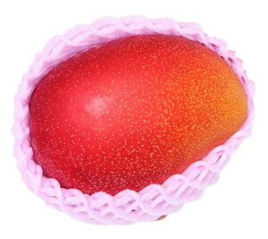 �y���s�꒼�s�z�{�茧�@�A�b�v���}���S�[�@2L�T�C�Y�@1�@��400g�y�①�z