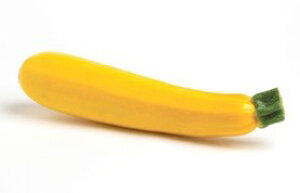 【送料無料】【朝市場直行】黄色ズッキーニ　Mサイズ　1本（約120g）x2個セット【冷蔵】