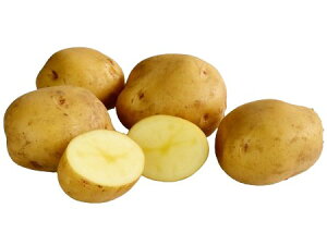 ys꒼szkCق@Ⴊ@L^AJij1kgy①z