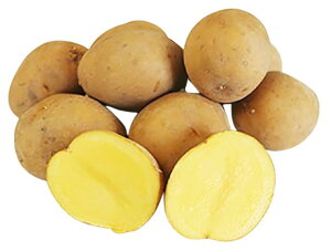 yzys꒼szkCق@Ⴊ@CJ̖ڊo߁iCĴ߂߁j1kg@x2Zbgy①z