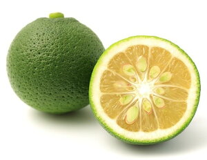 ys꒼sz啪ق@ڂ@1@50g@x6Zbgy①z