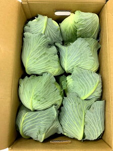 ys꒼szƖpE@mق@Lxc@8iP[Xjy①z