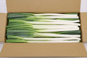 ys꒼szƖpE@tق@˂@2LTCY@30{iP[Xjy①z