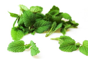 yzys꒼szmق@o[ibTjPC@15g@x2Zbgy①z