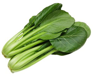 【朝市場直行】茨城県ほか 小松菜(袋)約200g x4個セット【冷蔵】