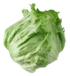 ys꒼sz錧ق@^X@2LTCY@1@350~400g@x6Zbgy①z