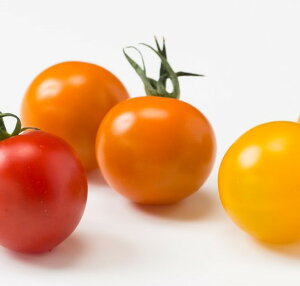 yzys꒼szkCق@~jg}g@IW@PC@200g@x2Zbgy①z