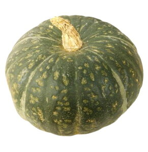 ys꒼szLVRYق@Ziڂj1@1.5kg@x4Zbgy①z