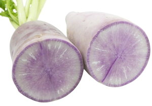 ys꒼szQnق@g卪@1{@500g@x6Zbgy①z