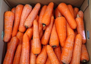 ys꒼szƖpE@Y@lQ@10kgiP[Xjy①z