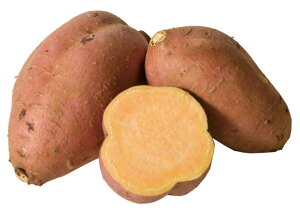 yzys꒼szق@܈i܂j[@LTCY@1kg@x2Zbgy①z